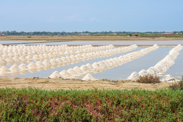 The harvest times of salt in salt evaporation pond