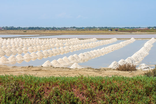 The Harvest Times Of Salt In Salt Evaporation Pond