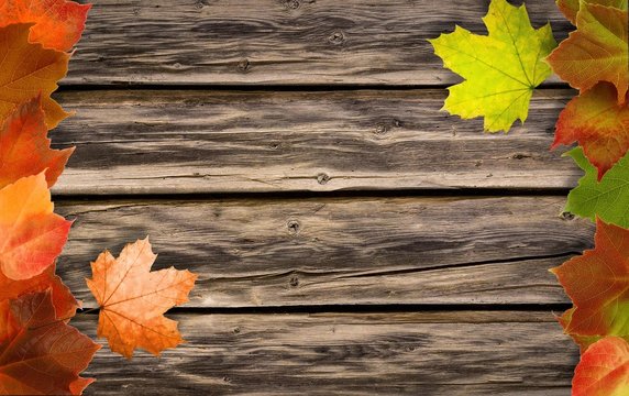 autumn background with free copyspace