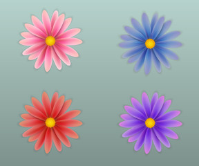 Set of vector flowers