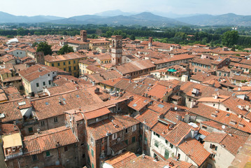 Fototapeta premium Overview at the old part of Lucca