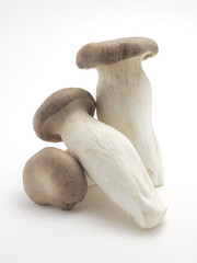 Eryngii mushrooms