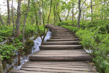 Fototapeta na wymiar Wood path in the Plitvice Lake