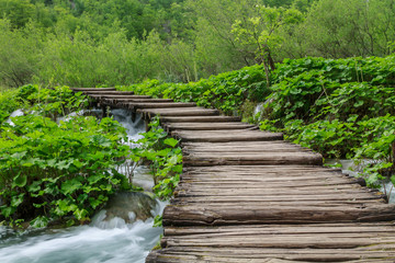 Wood path in the Plitvice Lake