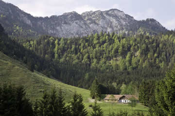 Fototapeta na wymiar hillstoana Alm mit breitenstein im mangfallgebirge