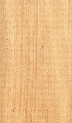 Texture of wood background