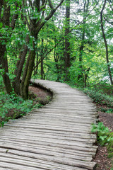 Obraz premium Wood path in the Plitvice Lake