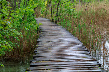 Wood path in the Plitvice Lake