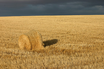 Fardo de paja con cielo tormentoso al fondo