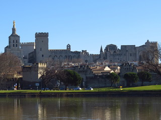 Fototapeta na wymiar Vue panoramique sur Avignon