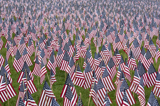 Numerous commemorative US flags