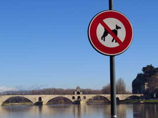 Avignon, Pont Saint Bénézet