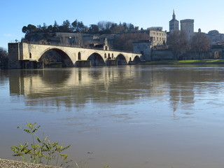 Naklejka premium Vue panoramique sur Avignon, le Palais des Papes et le Pont