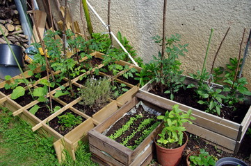 carré potager