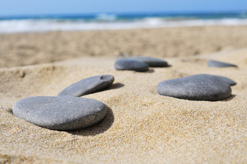 Fototapeta na wymiar gray flat stones on the sand of a beach
