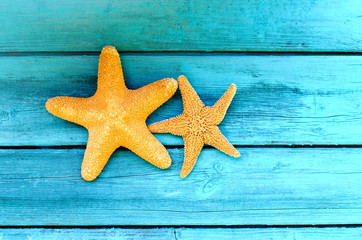 Морские звезды на деревянной палубе