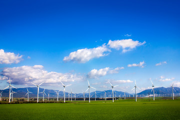 Windmills on green meadow. Spain