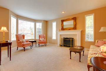 House interior. Antique style living room