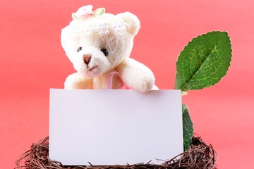 Nest with a blank card and teddy bear