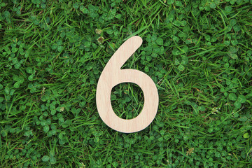 wooden number 6 on grass and clover background - obrazy, fototapety, plakaty