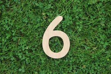 Fotobehang wooden number 6 on grass and clover background © peapod333