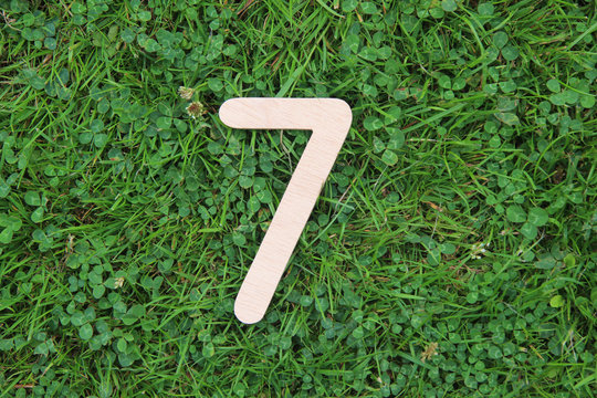 wooden number 7 on grass and clover background