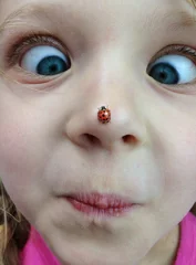 Zelfklevend Fotobehang child with ladybird on her nose © schab