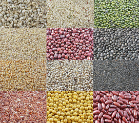 Fototapeta premium different types of beans
