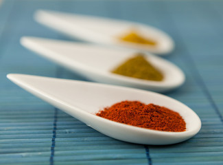 Dried ground spices in ceramic spoons