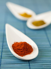 Dried ground spices in ceramic spoons
