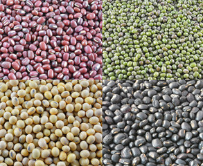 different types of beans