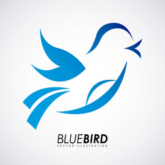 Bird design