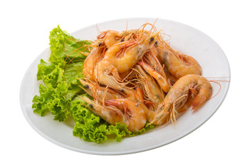 Big tiger shrimps