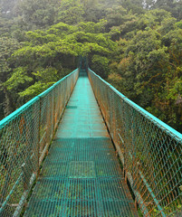 Obraz premium Forêt nuageuse de Monteverde
