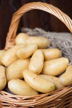 Vertical shot of a wicker basket with newly harvested potato