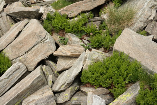 Cryptogramme Images – Browse 43 Stock Photos, Vectors, and Video ...