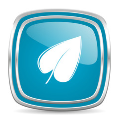 leaf blue glossy icon
