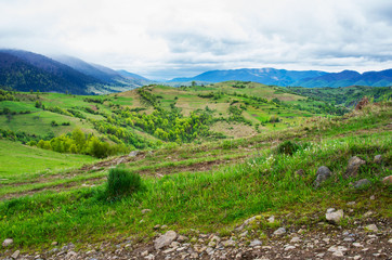 Fototapeta na wymiar Mountain slopes with green meadow