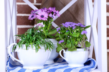 Fototapeta na wymiar Flowers in decorative pots