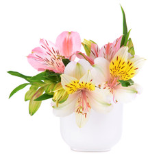 Alstroemeria flowers in vase isolated on white