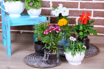 Flowers in  decorative pots on chair, on bricks background
