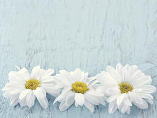 Wooden vintage background with white daisies © Anna-Mari West