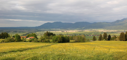 Naturlandschaft Murnauer Moos