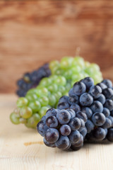 Blue and green grape clusters