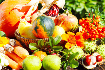 Früchte des Herbstes