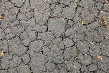Cracked soil ground into the dry season