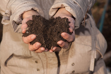 hands with soil