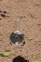 bulb with clear water on dry soil
