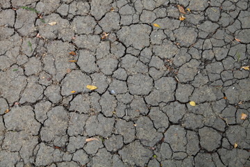 Cracked soil ground into the dry season