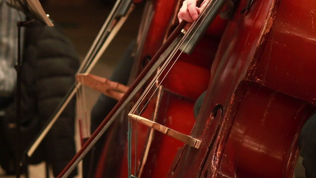 Cello part, musicians perform classic music concert, instruments
